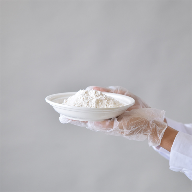 Methylparaben CAS 99-76-3